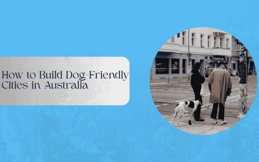 “Dogs and owners enjoying a dog-friendly urban park in Australia with walking paths and amenities.”
