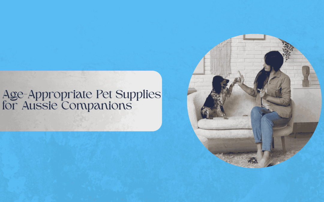 Age-Appropriate Pet Supplies for Aussie Companions