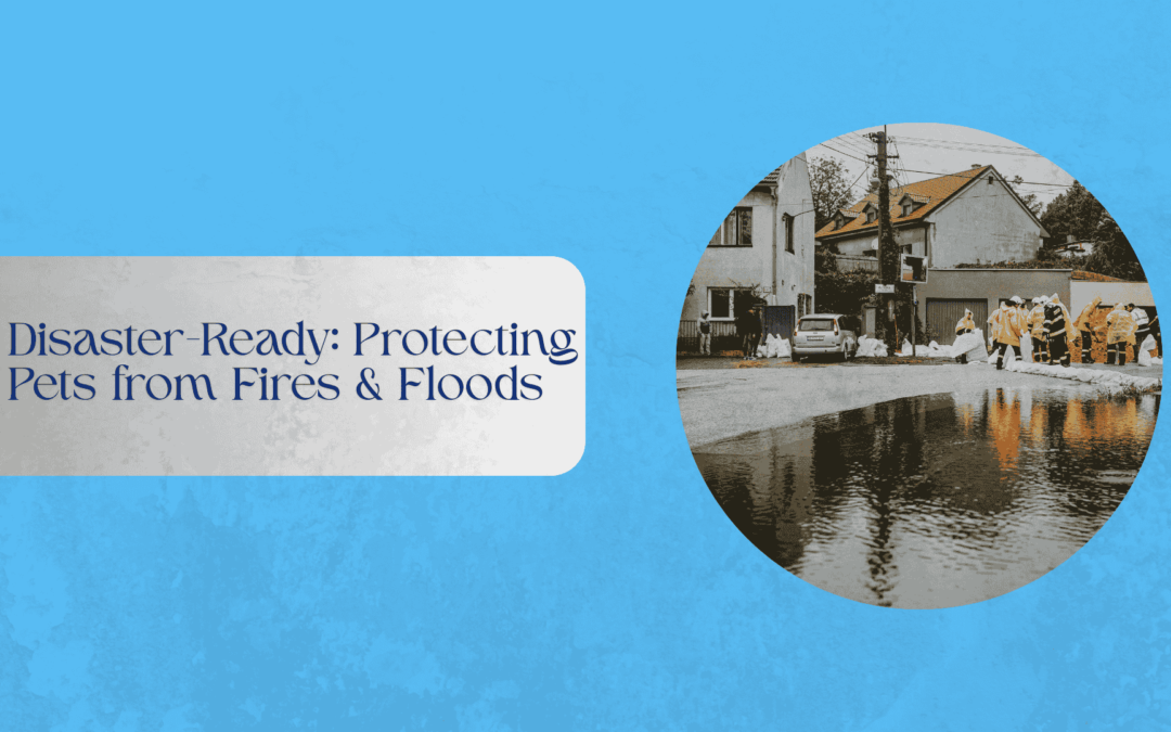 Disaster-Ready: Protecting Pets from Fires & Floods