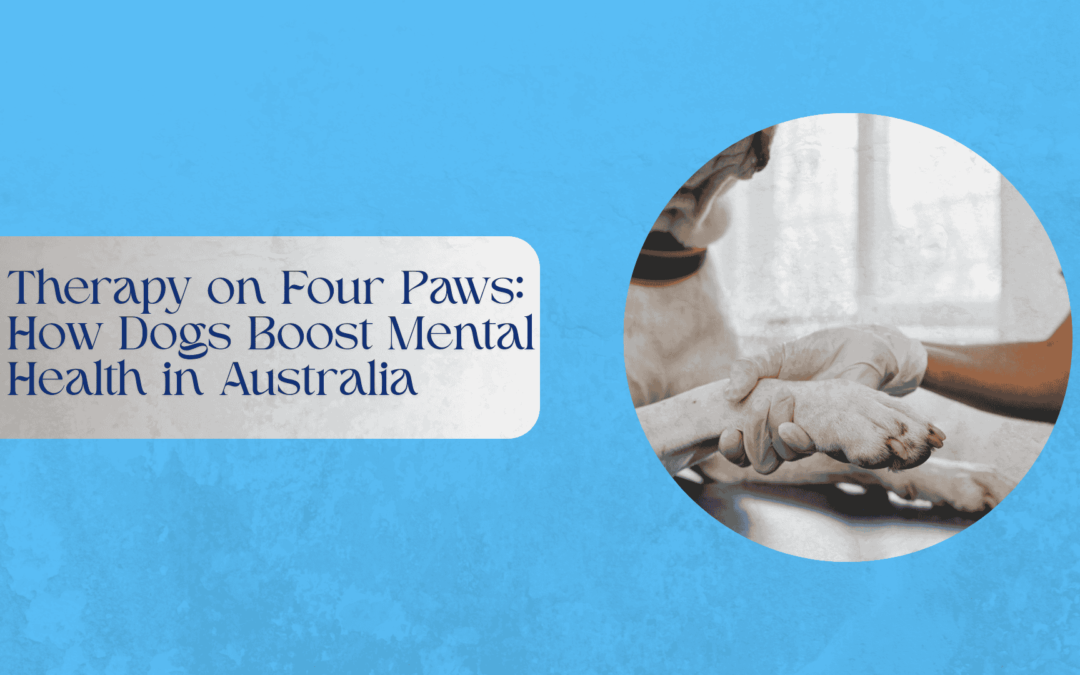 Therapy on Four Paws: How Dogs Boost Mental Health in Australia