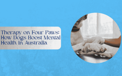 Therapy on Four Paws: How Dogs Boost Mental Health in Australia