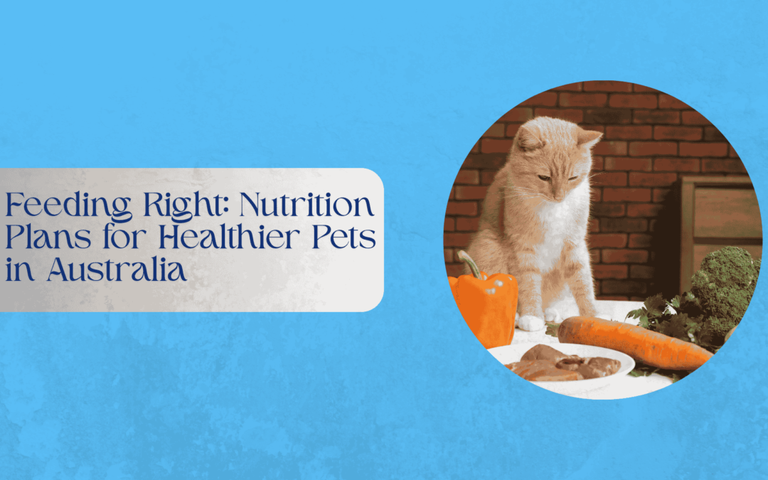 Feeding Right: Nutrition Plans for Healthier Pets in Australia