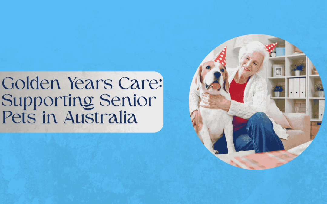 Golden Years Care: Supporting Senior Pets in Australia