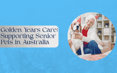 Golden Years Care: Supporting Senior Pets in Australia