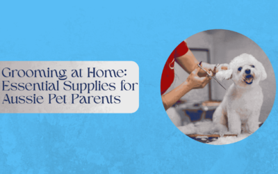 Grooming at Home: Essential Supplies for Aussie Pet Parents