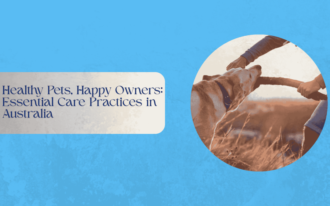 Happy dog and cat enjoying daily care in an Australian home