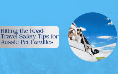 Hitting the Road: Travel Safety Tips for Aussie Pet Families