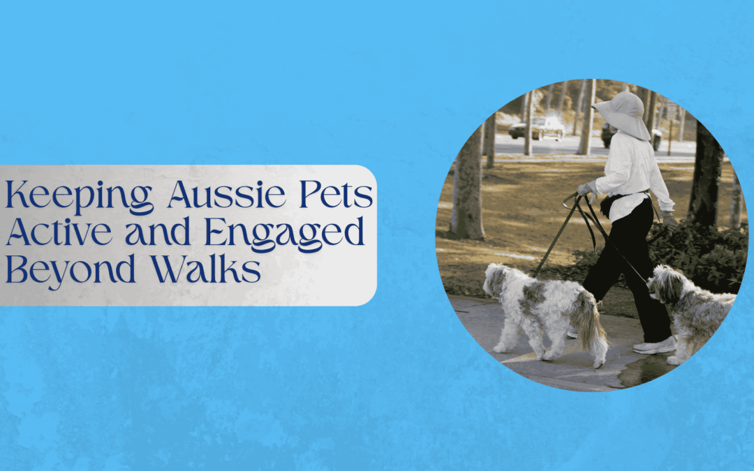Keeping Aussie Pets Active and Engaged Beyond Walks