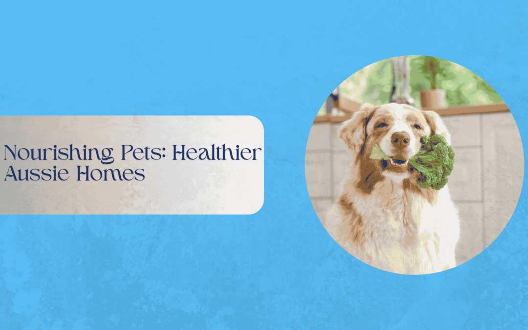 Nourishing Pets: Healthier Aussie Homes