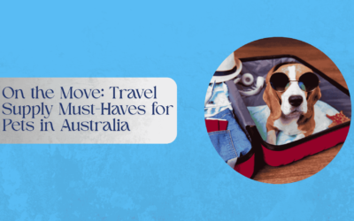 On the Move: Travel Supply Must-Haves for Pets in Australia