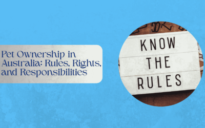Pet Ownership in Australia: Rules, Rights, and Responsibilities