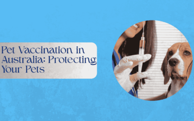 Pet Vaccination in Australia: Protecting Your Pets