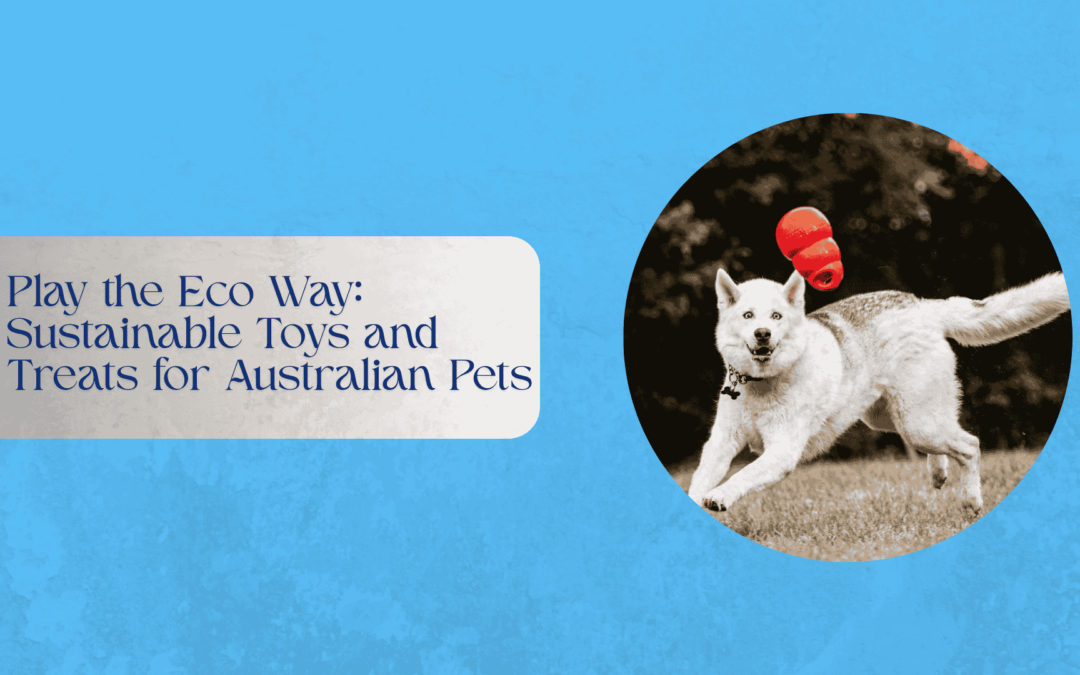 Play the Eco Way: Sustainable Toys and Treats for Australian Pets