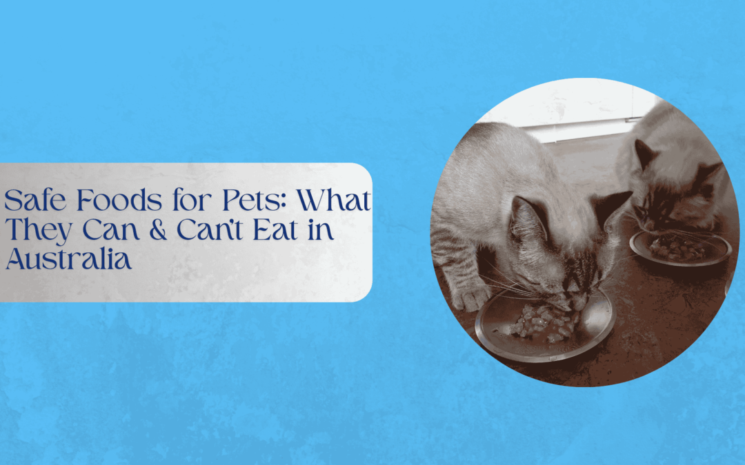 Safe Foods for Pets: What They Can & Can’t Eat in Australia