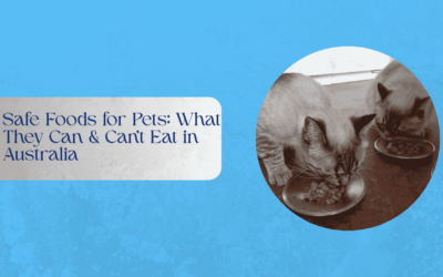 Safe Foods for Pets: What They Can & Can’t Eat in Australia