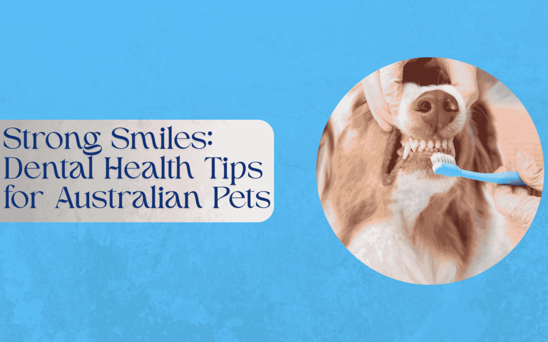 Smiling dog and cat showing healthy teeth, promoting pet dental care.