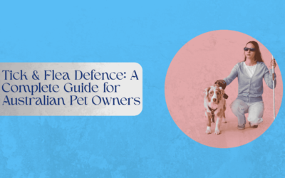 Tick & Flea Defence: A Complete Guide for Australian Pet Owners
