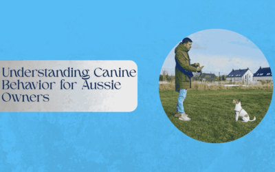 Understanding Canine Behavior for Aussie Owners